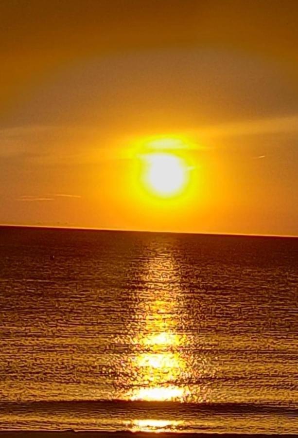 Apartamento Entero Primera Linea De Playa, Pet Friendly タベルネス・デ・ラ・バルディグナ エクステリア 写真